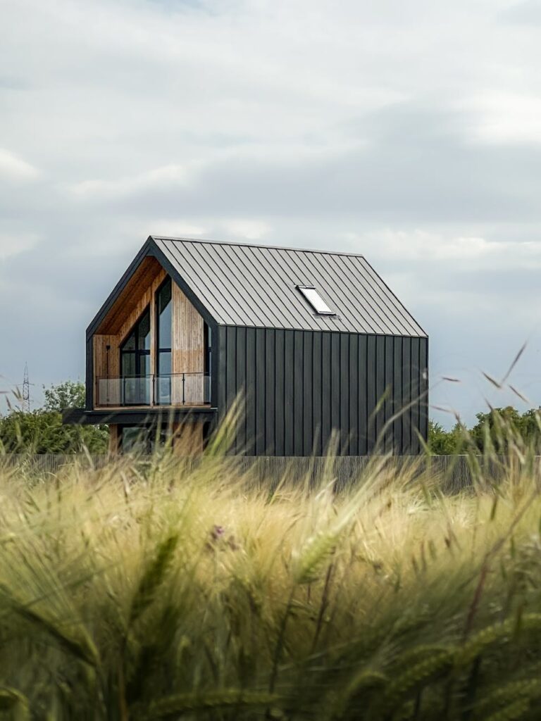 Contemporary house with dark exterior in a grassy field under cloudy skies.